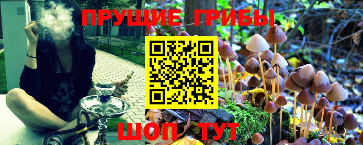 Псилоцибиновые грибы мухоморы Майкоп